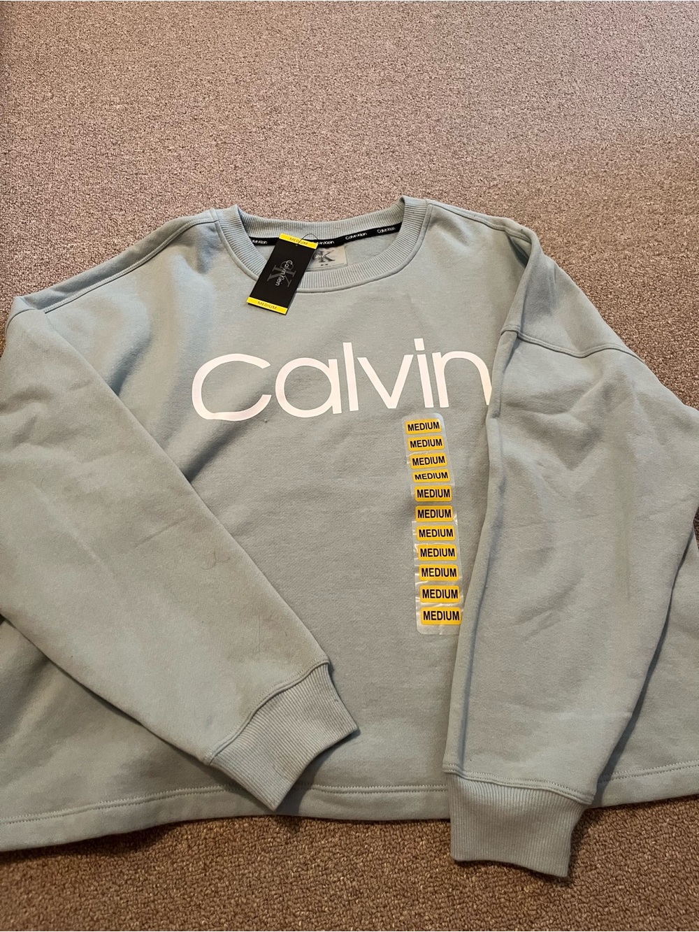 Calvin Klein Women’s Mint Green Logo Crewneck Sweatshirt